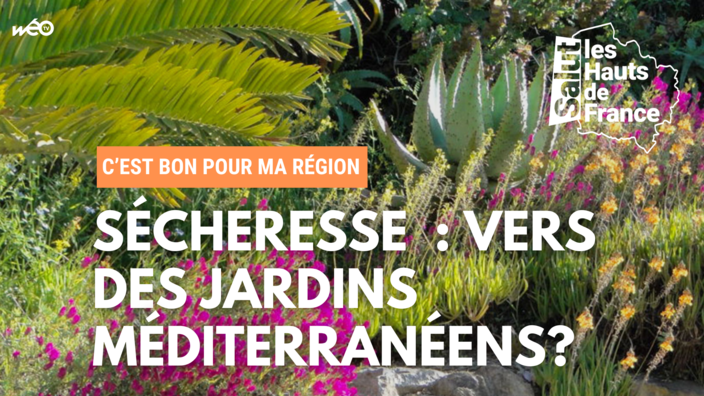 C’est bon pour ma région : Quelles solutions pour nos jardins face à la sécheresse ?